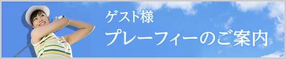 ゲスト様プレーフィー
